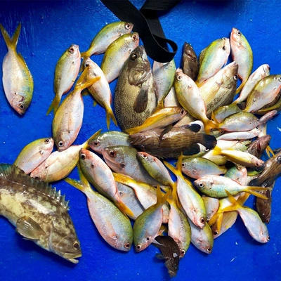 兰卡威+孕妇岛+湿米岛+巨狮岛+海钓+海鲜BBQ+可配夕阳游一日游 商品图3