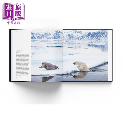 【中商原版】Wildlife Photographer of the Year: Portfolio 33 进口艺术 年度野生动物摄影师：作品集 第9卷  商品图2