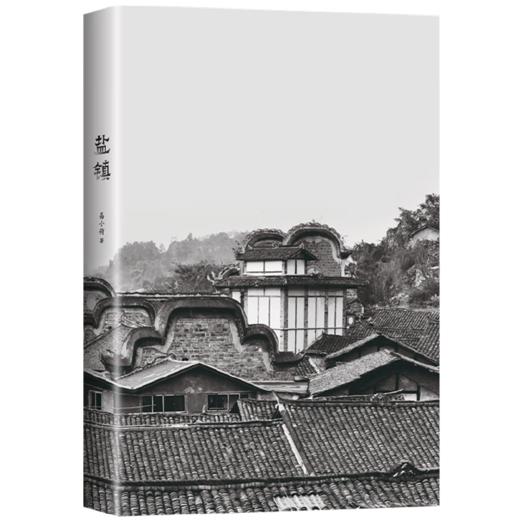 盐镇 易小荷 著 商品图3