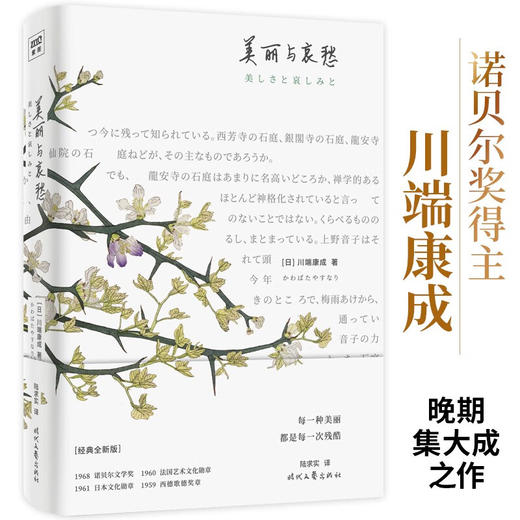 美丽与哀愁 商品图0