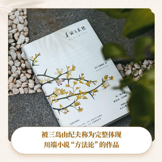 美丽与哀愁 商品图3