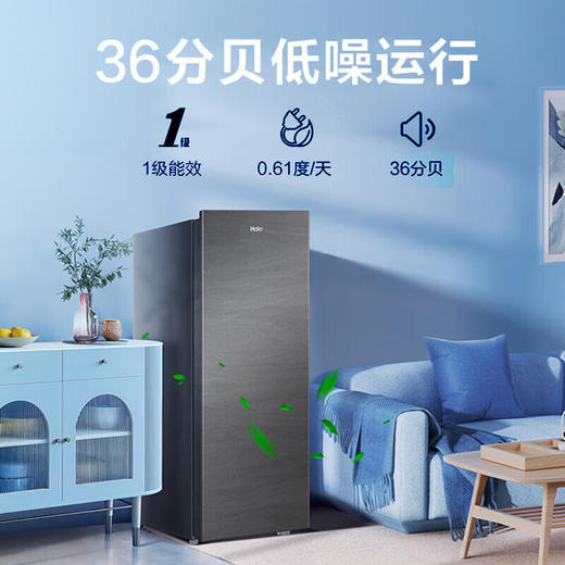 海尔（Haier）冰柜 抽屉式立式冷柜风冷无霜办公室分区存储 黑金净化家用迷你小冰柜单开门 一级能耗节能省电 BD-138WGHS9 商品图7