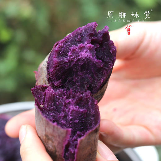 【排单，3-5天发货】生态老品种紫薯/红薯（基地直发-圆通包邮）|5斤装，来自四川简阳，生产者：范华侨、张勇【合作生产，公平贸易】 商品图8