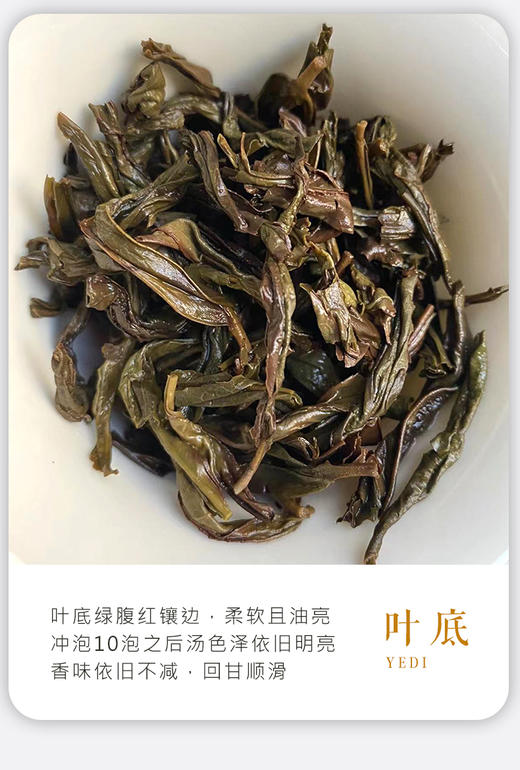 凤凰单丛  |  宋茶荟 2024年春茶 爆臭鸭屎香100G/罐 商品图3