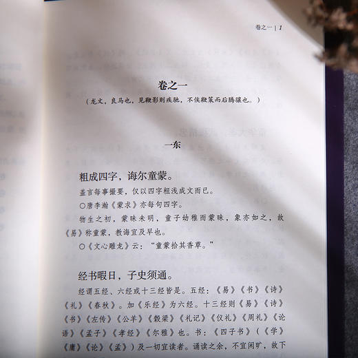 谦德国学文库 龙文鞭影（新版） 商品图4