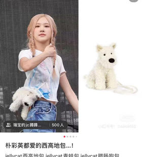 朴彩英同款西高地狗狗包