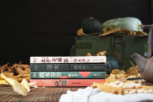 《杨本芬作品集：豆子芝麻茶+秋园+浮木+我本芬芳》全4册 商品图4