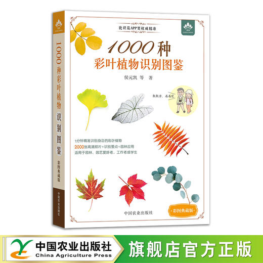 1000种彩叶植物识别图鉴（彩图典藏版）【一分钟精准识别身边的彩叶植物】 商品图0