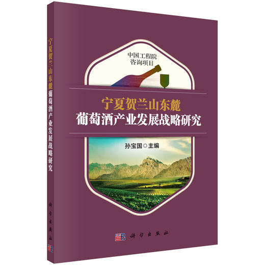 宁夏贺兰山东麓葡萄酒产业发展战略研究 商品图0