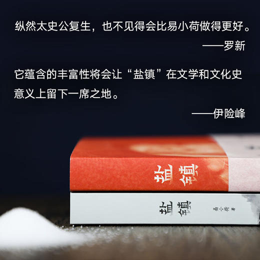 盐镇 易小荷 著 商品图2