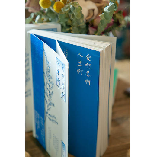 爱啊美啊人生啊 商品图6