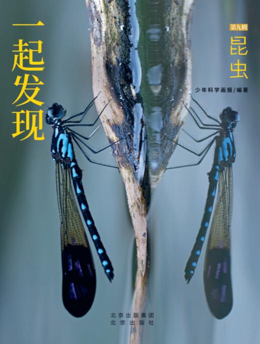 2023年《一起发现》过刊优惠随机3本 商品图6