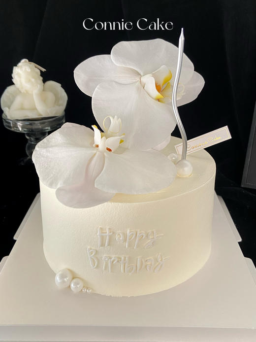 【1513】超美蝴蝶兰 商品图0