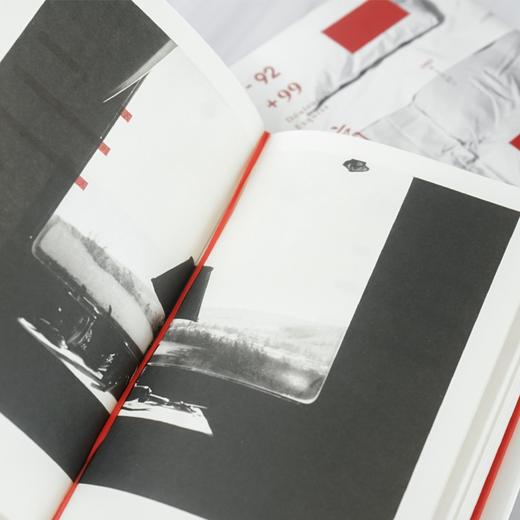 痛（法）苏菲·卡尔 著 商品图2