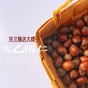 【秒杀】东北大榛子500g/袋*2袋 商品缩略图1