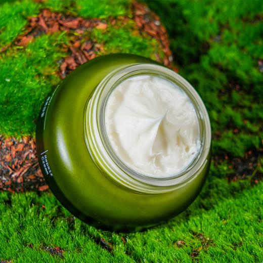 植然自御御屏修护霜(50g) 商品图0