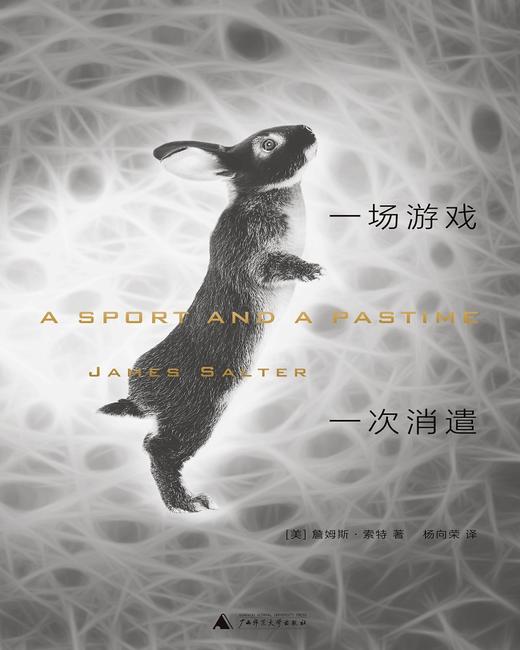 一场游戏一次消遣（美）詹姆斯·索特 著 商品图1