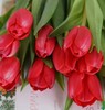 国产郁金香 | 红妆 商品缩略图0