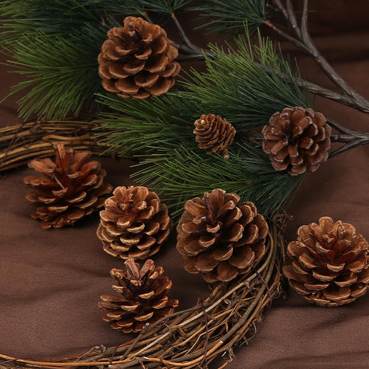 【热卖】圣诞百搭松果（6枚/包） 商品图2