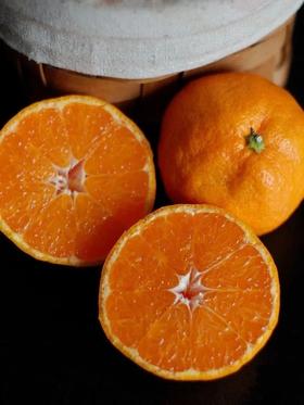 柑橘天花板！米其林三星同款浙江临海涌泉蜜桔 超好吃！