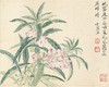恽寿平南田没骨画精品花鸟册页10幅 原大高清宣纸复制（未装裱） 商品缩略图1