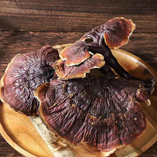 西藏野生赤灵芝【产地：西藏林芝.波密】 商品图3