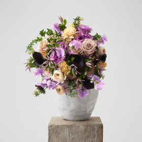 绿荷紫菂 Green Lotus Purple