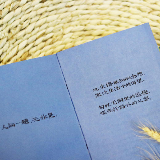 xin有花田万事香 商品图7