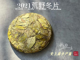 【史上最少】2021荒野冬片，每一饼，都藏着最深的冬，存量仅259席