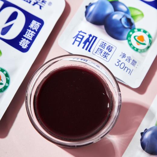 【贵州好物】有机蓝莓原浆  450ml/袋 商品图1