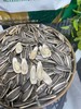 酥脆香甜，超好磕！【新疆塔城瓜子】本色原味，来自大美西域！果壳油亮光滑、个大皮薄、肉厚酥脆、颗粒饱满 葵花籽～ 商品缩略图1