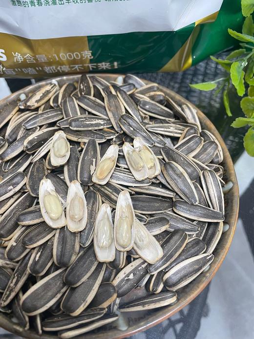 酥脆香甜，超好磕！【新疆塔城瓜子】本色原味，来自大美西域！果壳油亮光滑、个大皮薄、肉厚酥脆、颗粒饱满 葵花籽～ 商品图1
