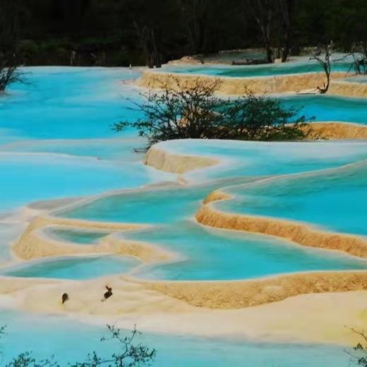 美宿 | 冰雪九寨·四川6天5晚 商品图8