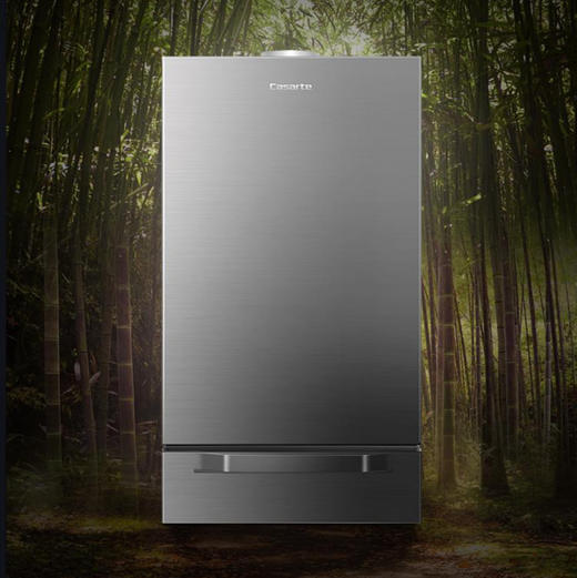 卡萨帝（Casarte）壁挂炉 L1PB30-CL5(T)U1 商品图2