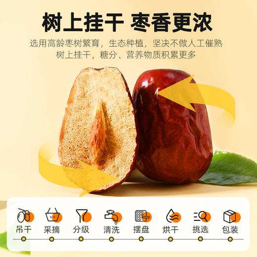 【冬季滋补】【杞里香宁夏红枣】宁夏的红枣250克*3袋可搭配银耳莲子枸杞 商品图5