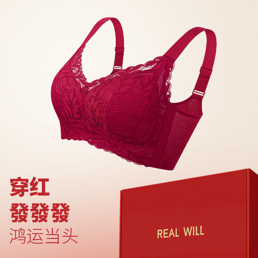 D2-【B-E杯】【大胸显小 薄荷小姐】润微7号专利杯透气版防下垂舒适好运本命年结婚新娘文胸罩 竹摇清影 +薄荷小姐【1分钱换购红袜子不需要加购物车，提交付款界面会显示】 商品图8