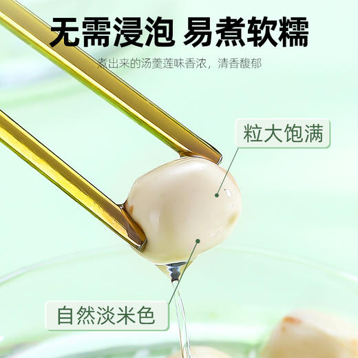 杞里香湘潭白莲子208g磨皮白莲*2罐。共416g 商品图4