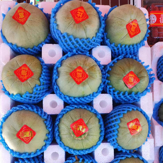 周六送，绿宝香瓜，酥脆香甜！大个头，0.8-1斤/个，一组4个 商品图1