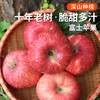 【包邮  】农家  红富士苹果  密云山区种植  脆甜多汁  不打蜡  3斤 商品缩略图0
