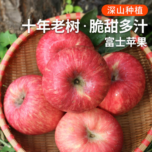 【包邮  】农家  红富士苹果  密云山区种植  脆甜多汁  不打蜡  3斤 商品图0