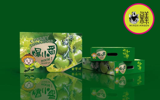 【绿千禧】青霞爆汁小番茄1kg/箱 商品图2