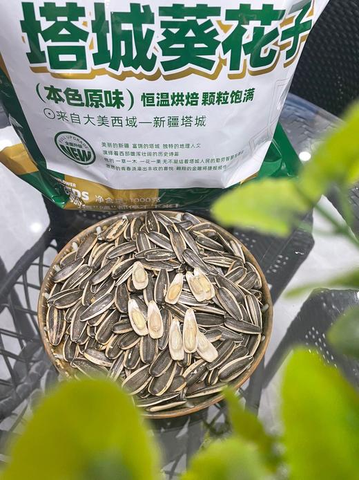 酥脆香甜，超好磕！【新疆塔城瓜子】本色原味，来自大美西域！果壳油亮光滑、个大皮薄、肉厚酥脆、颗粒饱满 葵花籽～ 商品图3
