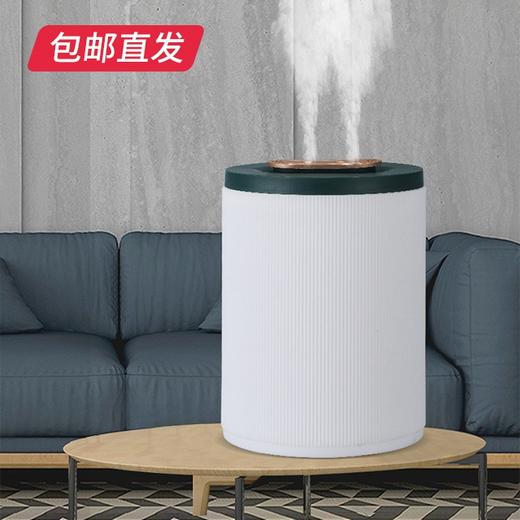 山水（SANSUI）3L双喷头加湿器（SJS-Q12）1台【包邮直发】 商品图0