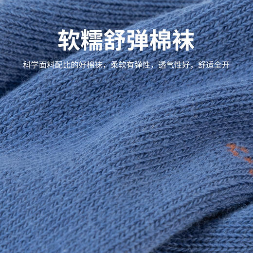 贝贝怡童袜儿童卡通宝宝袜男童四季款软糯舒弹棉袜（6双装）JB5CP003 商品图4