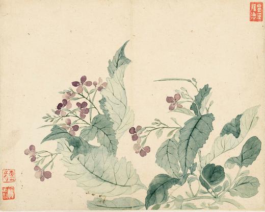 恽寿平南田没骨画精品花鸟册页10幅 原大高清宣纸复制（未装裱） 商品图6