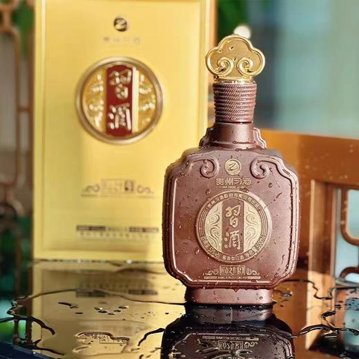 习酒【官方授权】匠心之作9 53度贵州酱香型白酒2023年旗舰品全新上市 53度 500mL 1瓶 商品图1
