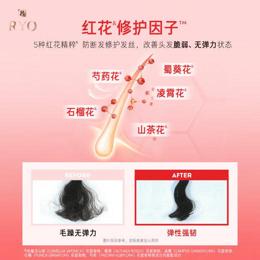 红吕含光耀护营润修护洗发水400ml/117796 全新升级无惧烫染柔顺修护 商品图2