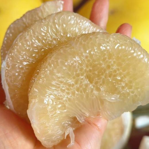 福建  老树文旦柚 商品图2