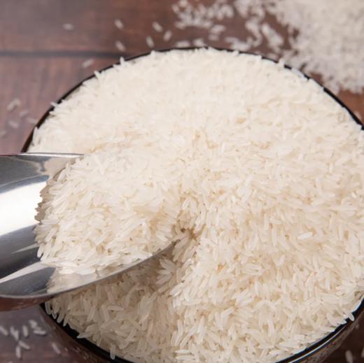 散金健洞庭香米（约500g/份） 商品图0