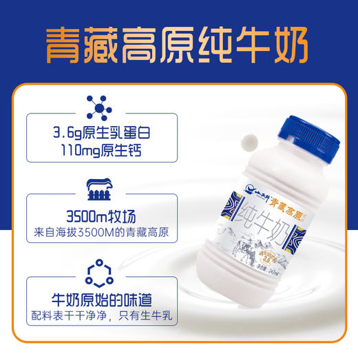 【光明&小西牛】青藏高原纯牛奶3.6g蛋白营养早餐奶 243ml*12瓶 商品图1